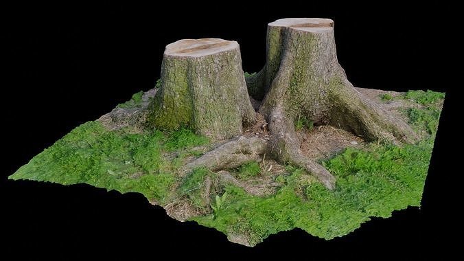 Twin Maple Tree Stumps 3D Scanned  Low-poly 3D model