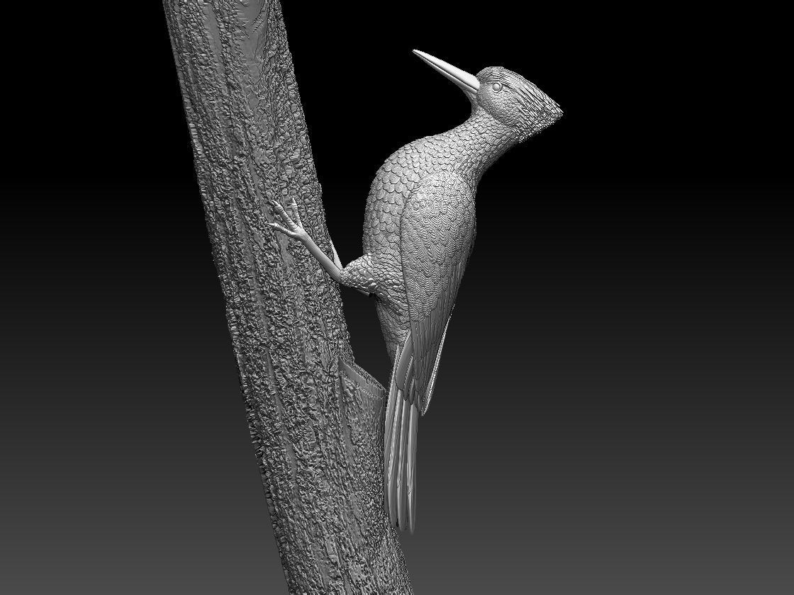 woodpecker 3D print model_58