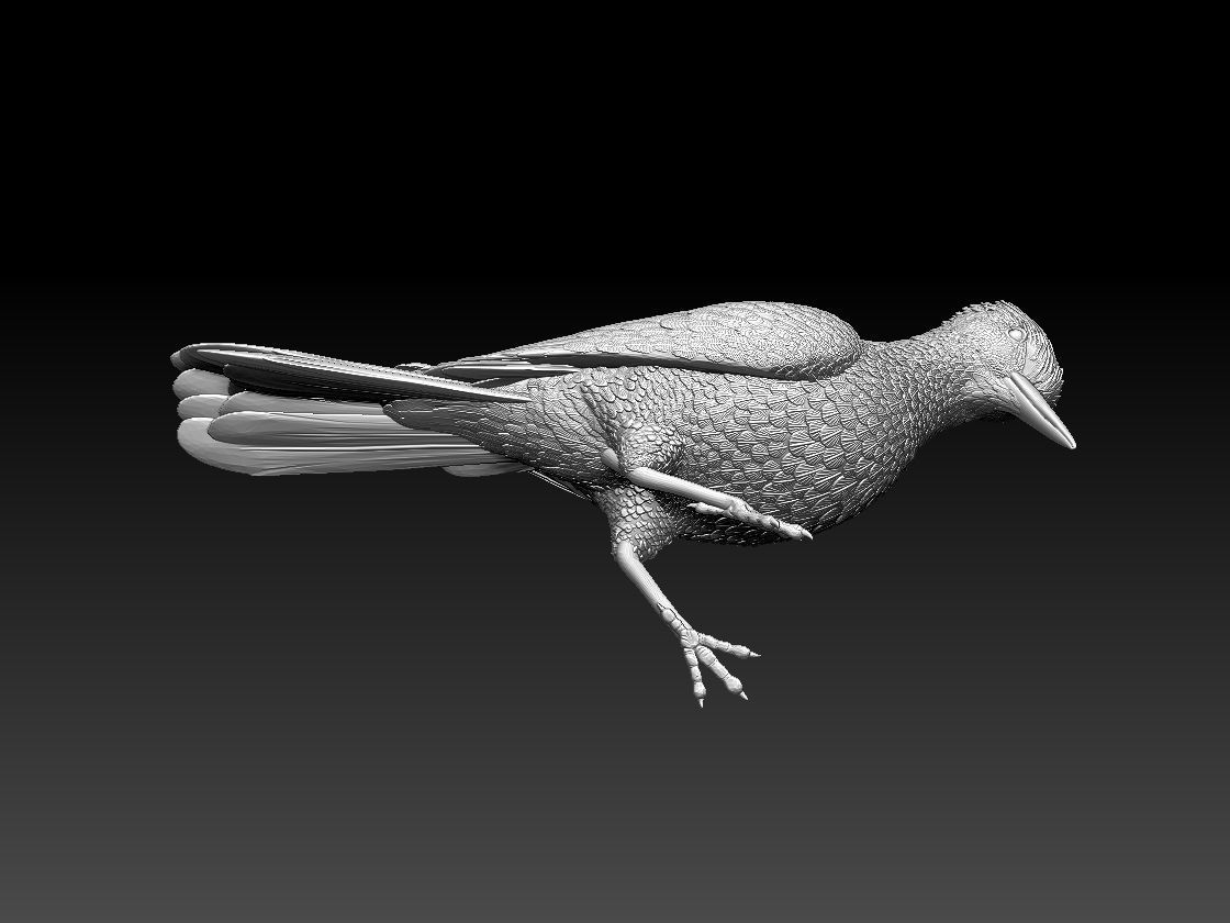 woodpecker 3D print model_42