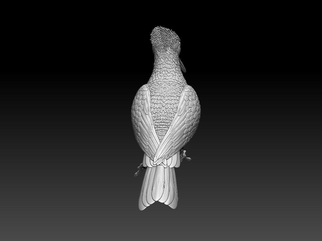 woodpecker 3D print model_38