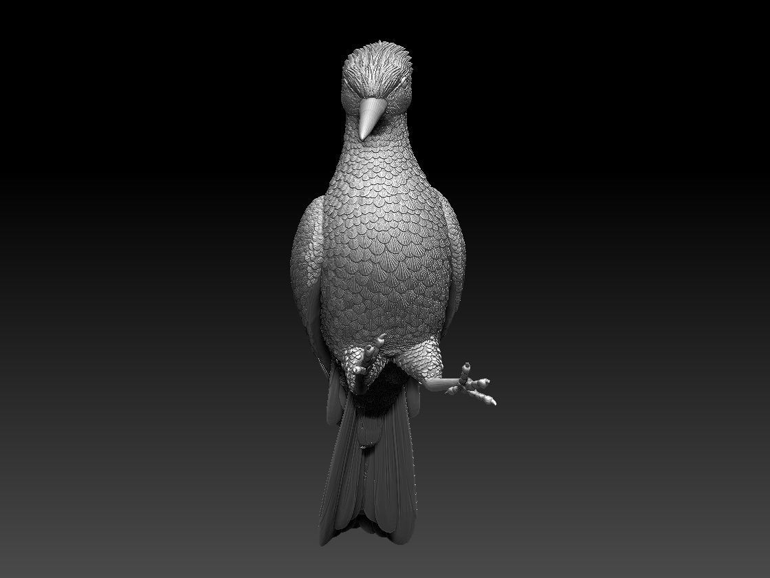 woodpecker 3D print model_35