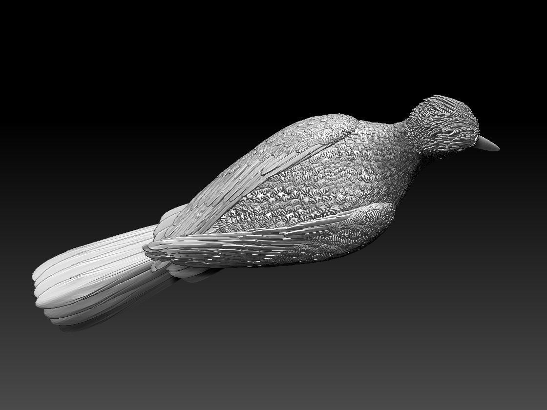 woodpecker 3D print model_56