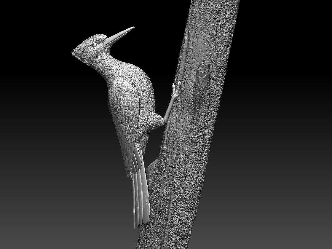 woodpecker 3D print model_31