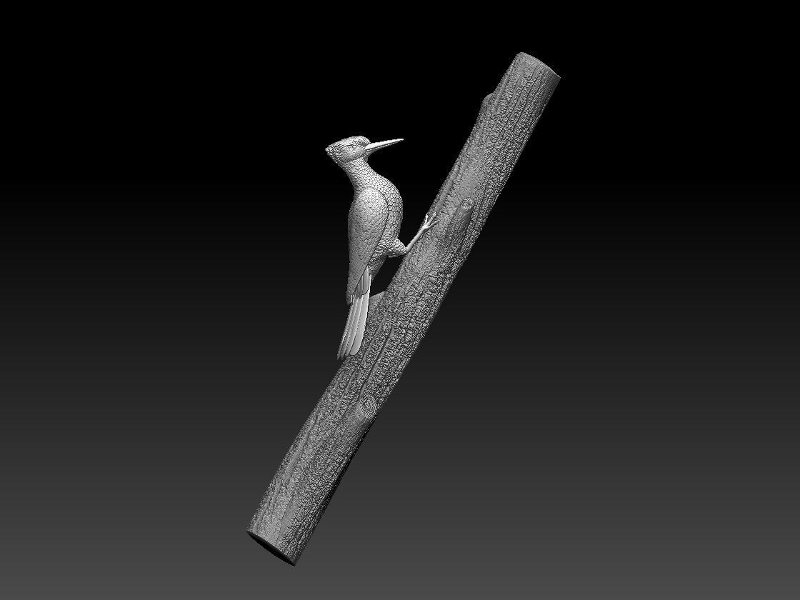 woodpecker 3D print model_14