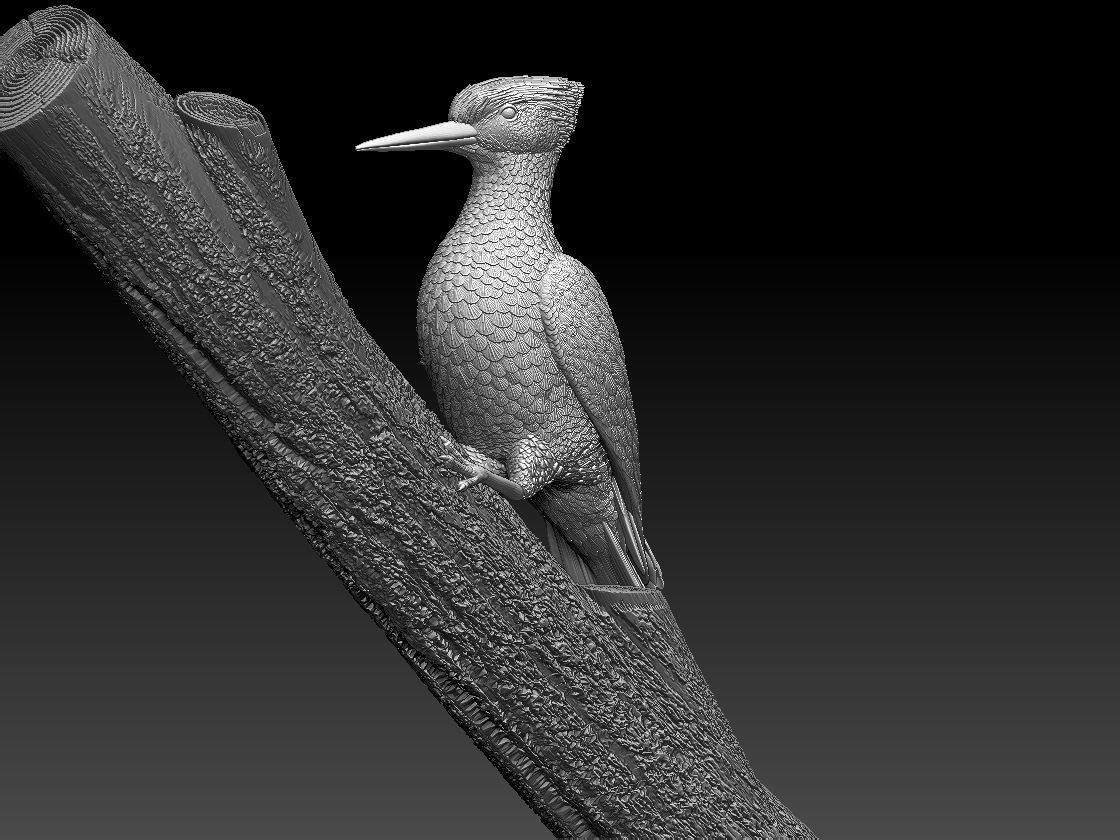 woodpecker 3D print model_63
