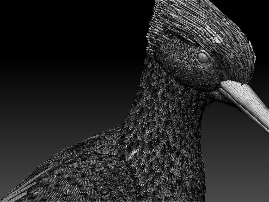 woodpecker 3D print model_47