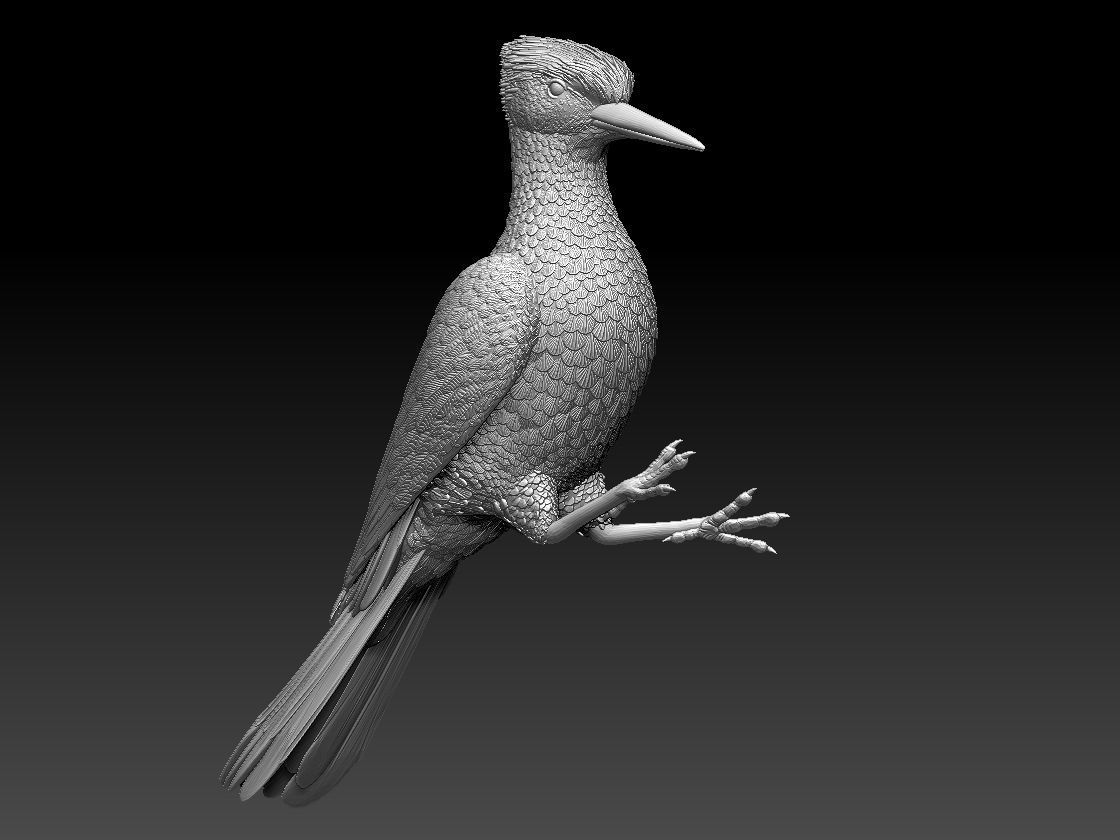 woodpecker 3D print model_25