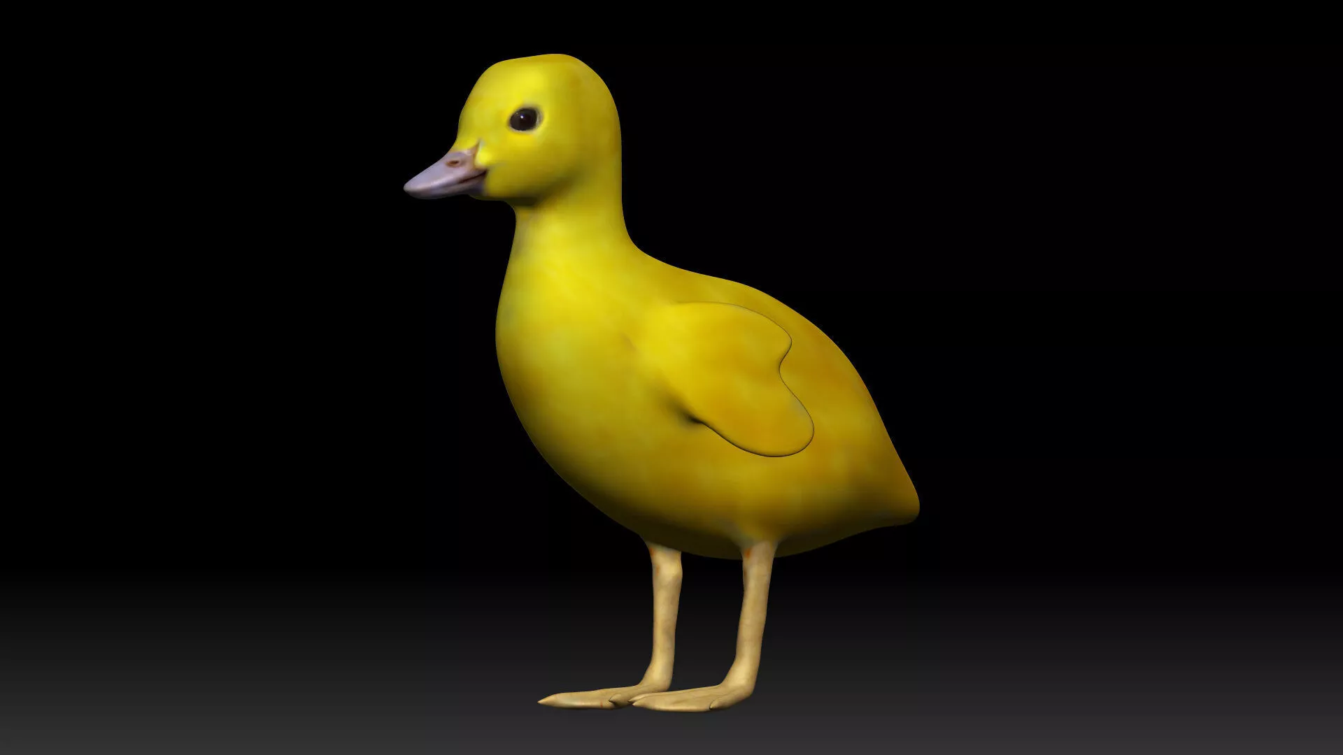Duckling duck Low-poly 3D model