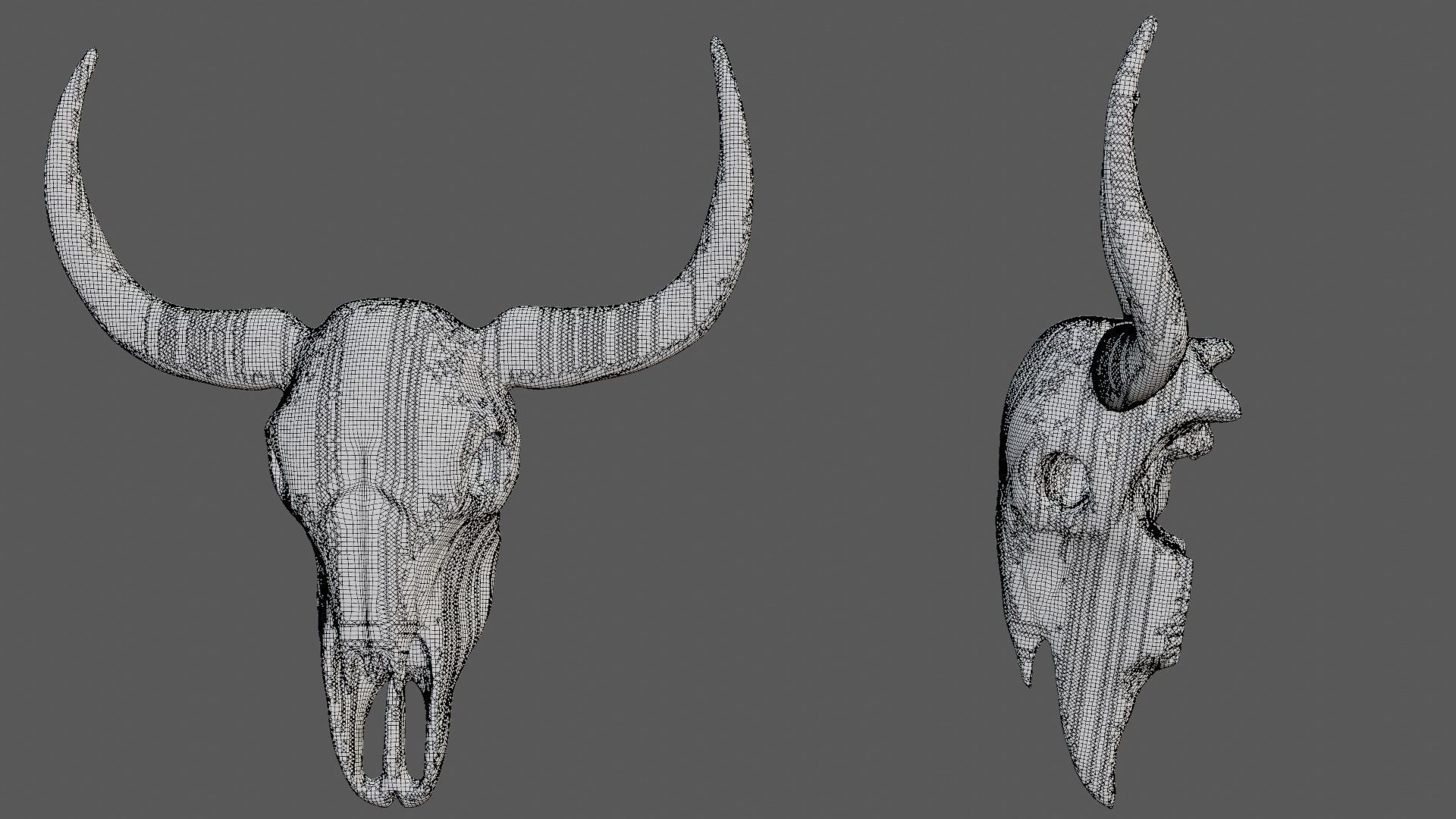 Cow skull Low-poly 3D model_7