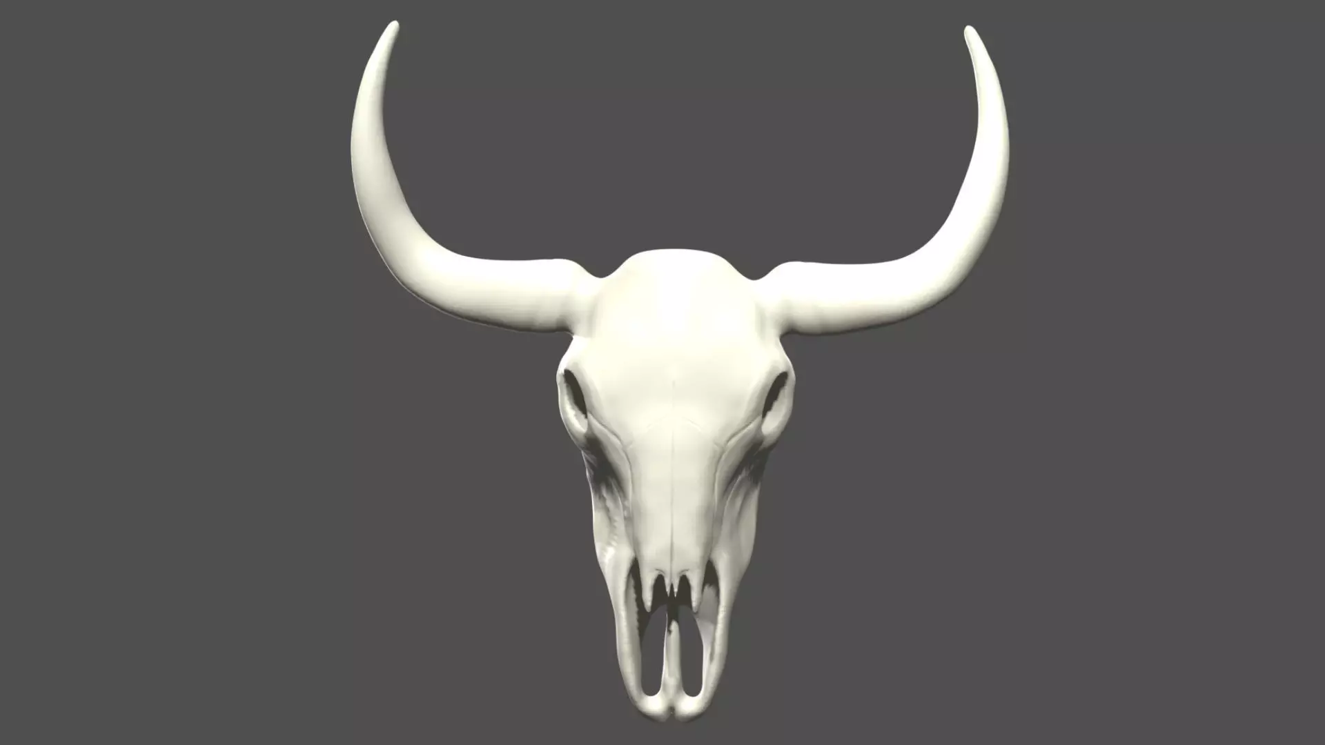 Cow skull Low-poly 3D model_0