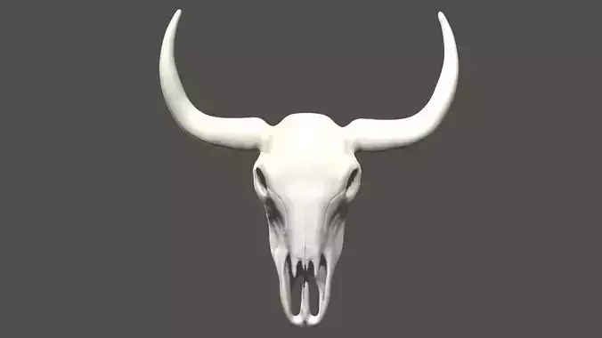 Cow skull