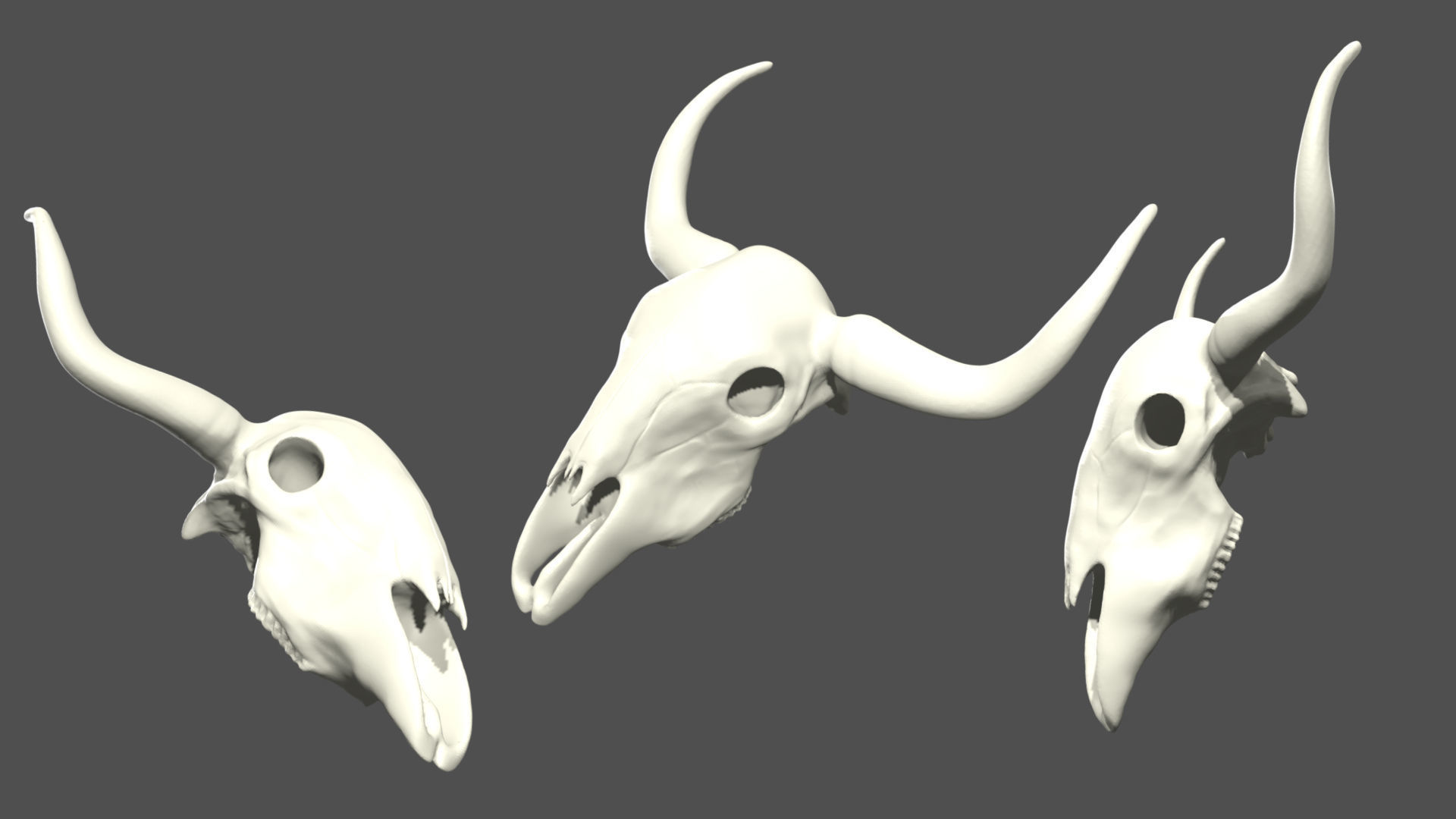 Cow skull Low-poly 3D model_2