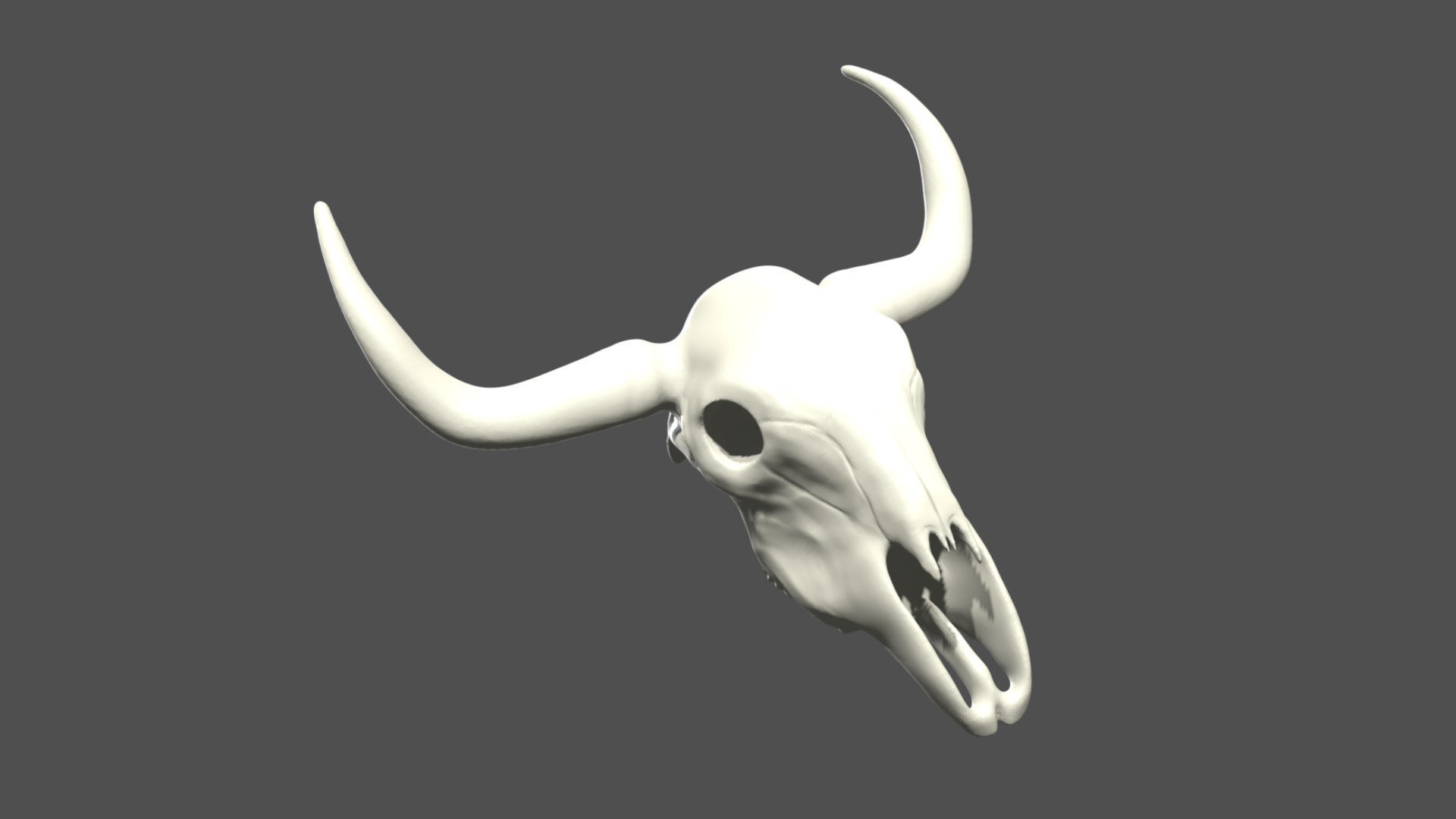 Cow skull Low-poly 3D model_1