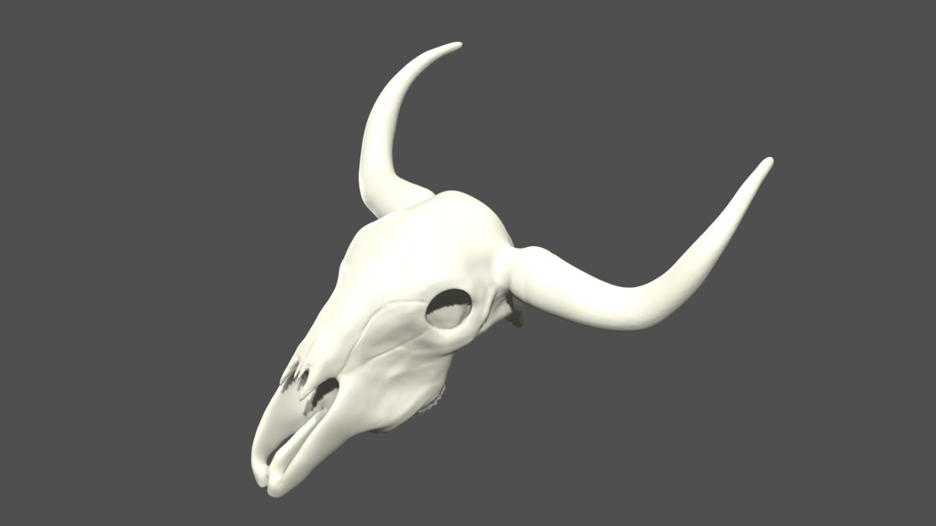 Cow skull Low-poly 3D model_3