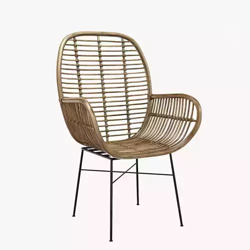 Lily Rattan Armchair with Metal Legs