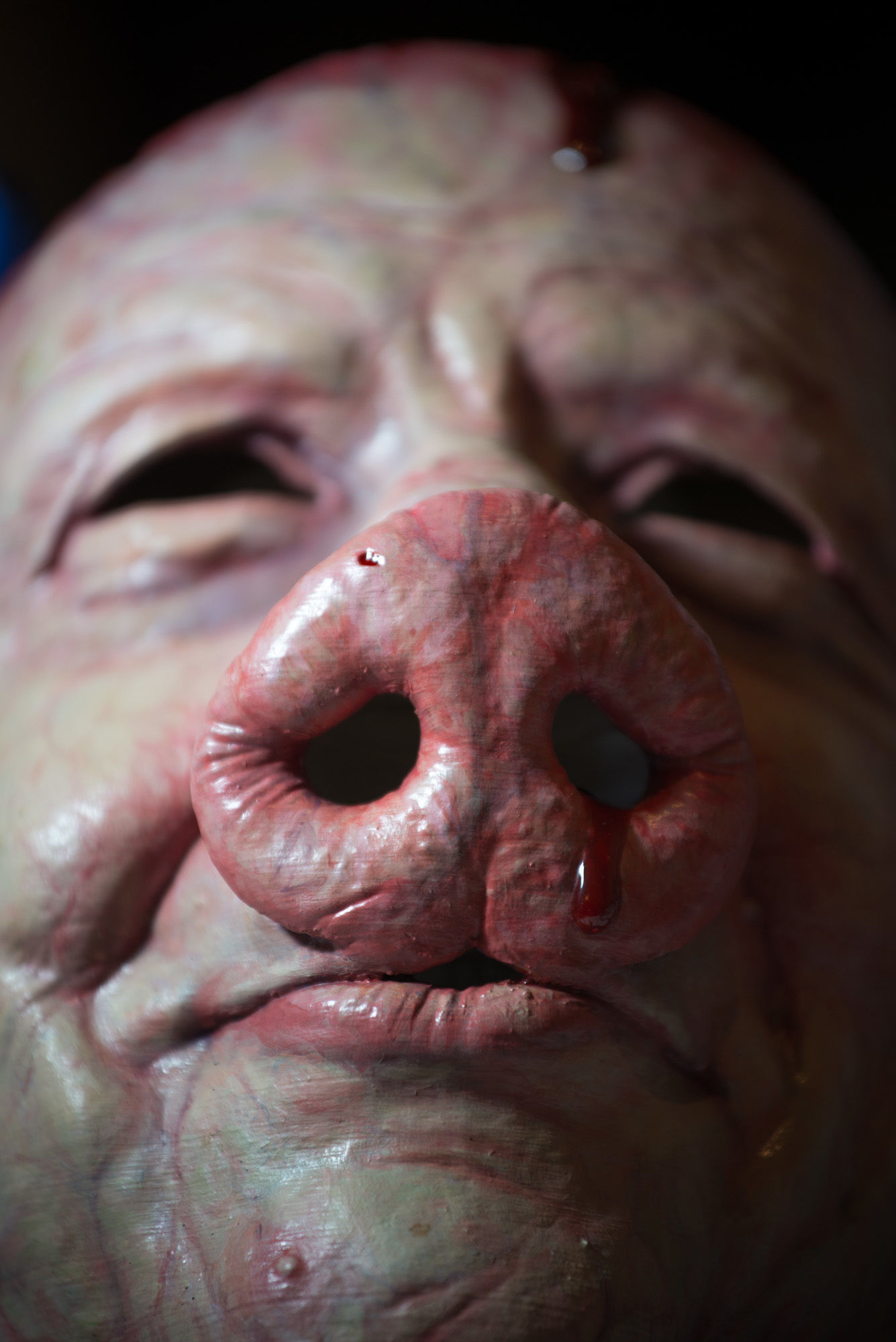 Boris the Pig mask 3D print model_4