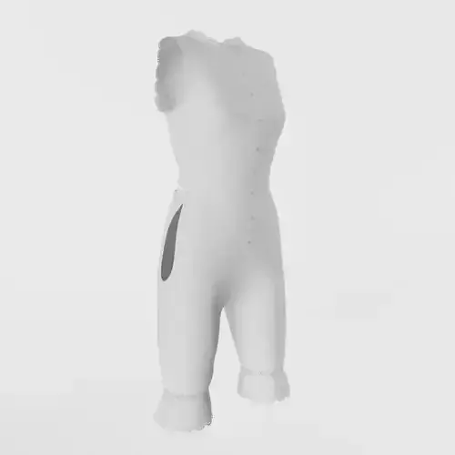 1890s Womens Undergarment