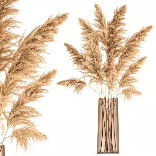 Bouquet of dried reeds in a Vase 121