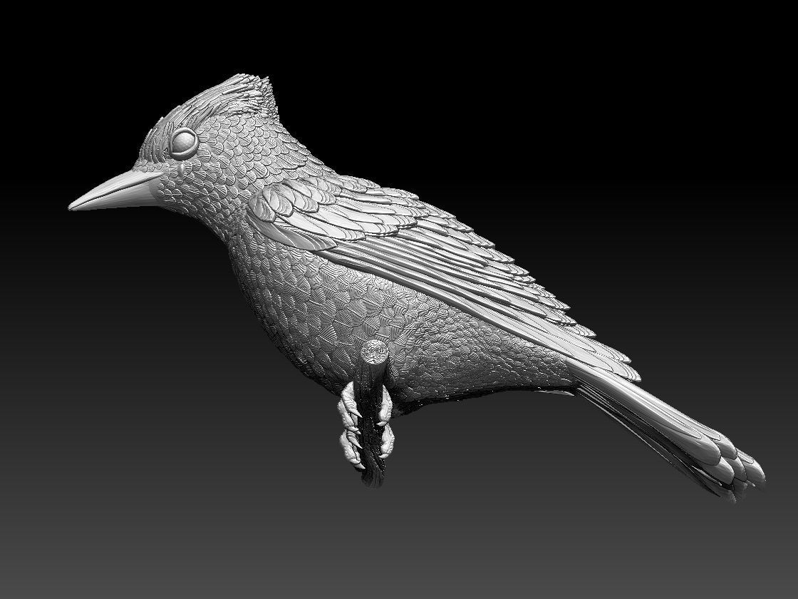 jay bird 3D print model_3