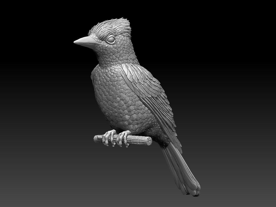 jay bird 3D print model_6