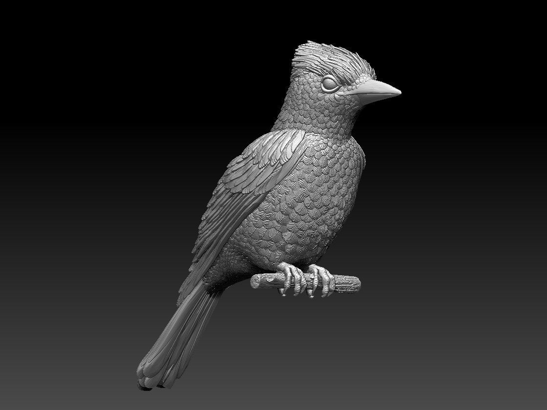 jay bird 3D print model_5