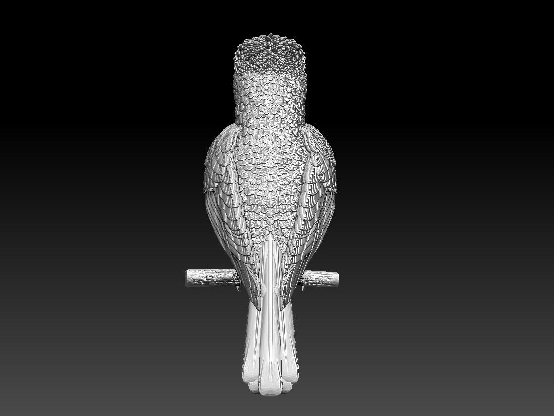 jay bird 3D print model_4