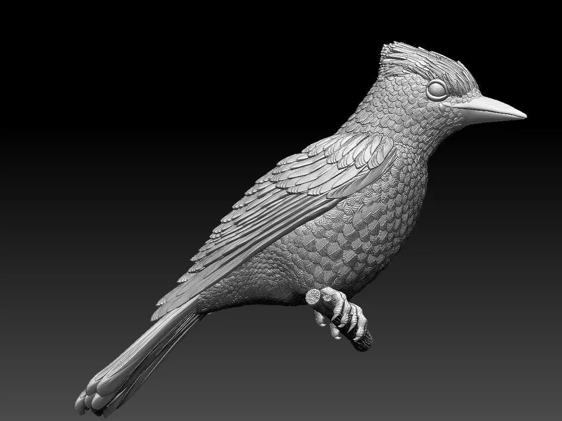 jay bird 3D print model_0
