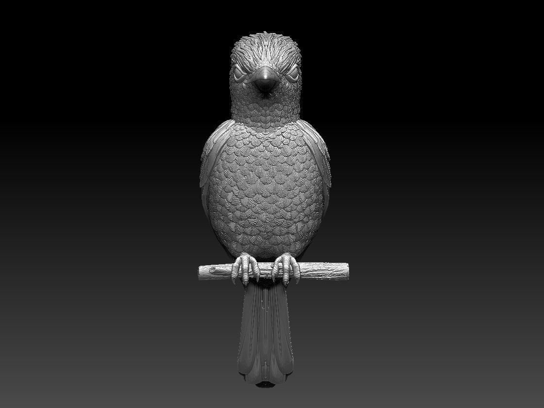 jay bird 3D print model_9