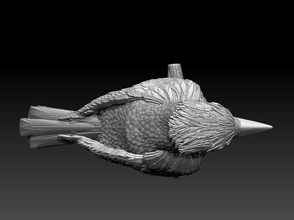 jay bird 3D print model_8