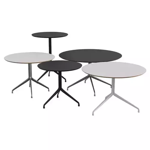 AAT 20 Table 3D model