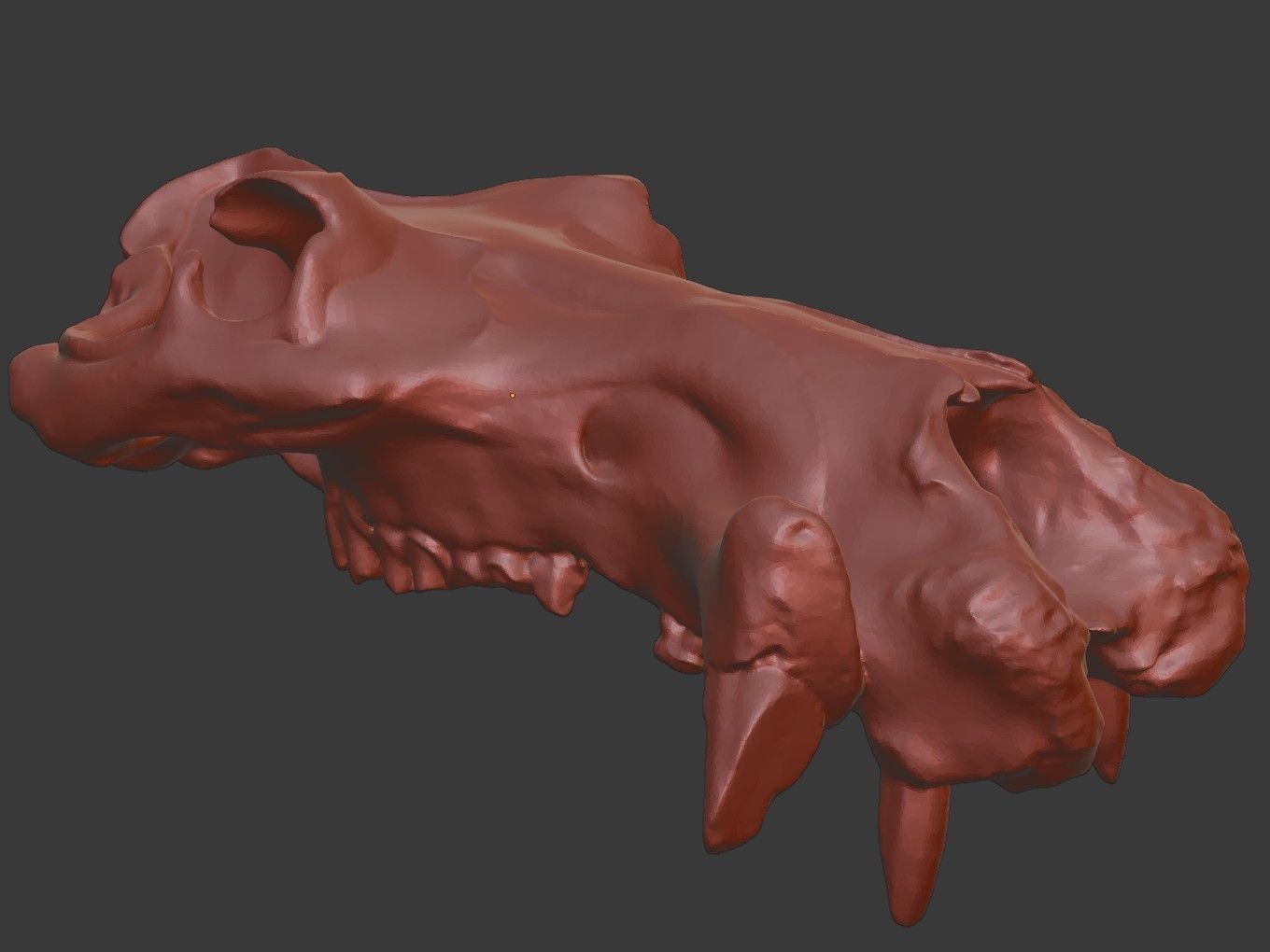 Cranium Charm Hippo Bronze 3D print model_13