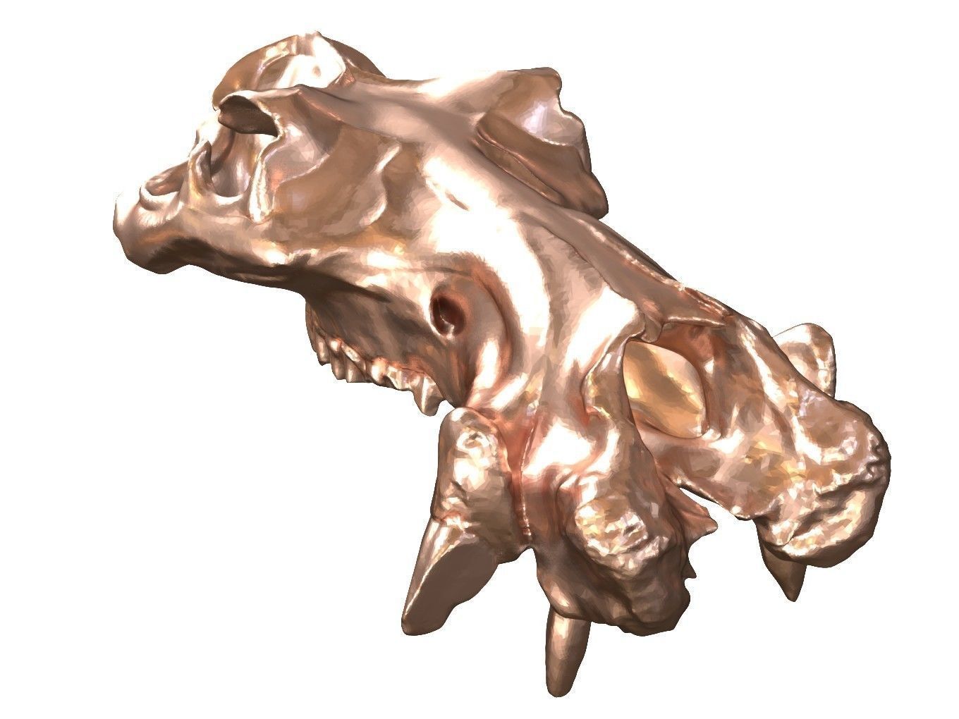 Cranium Charm Hippo Bronze 3D print model_1