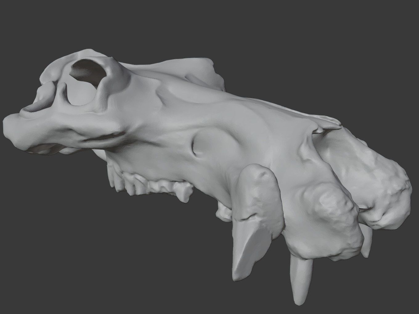 Cranium Charm Hippo Bronze 3D print model_10