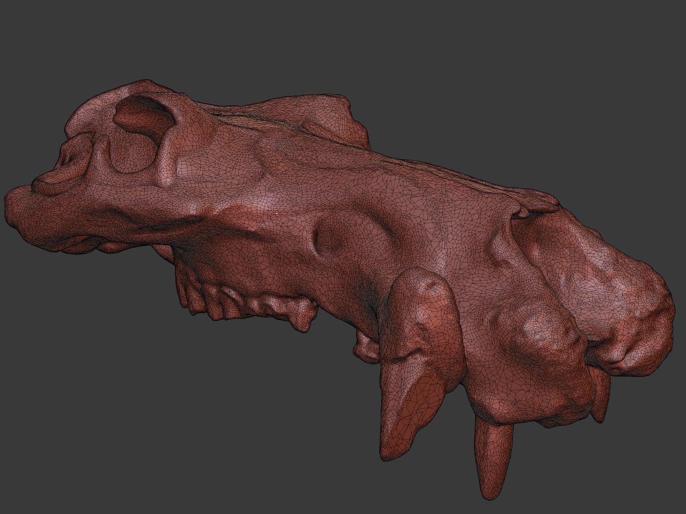 Cranium Charm Hippo Bronze 3D print model_12