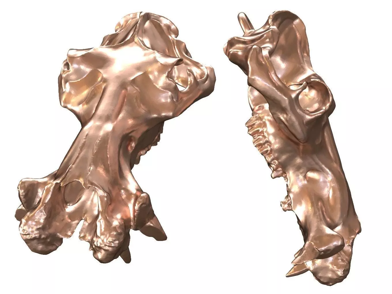 Cranium Charm Hippo Bronze 3D print model_0