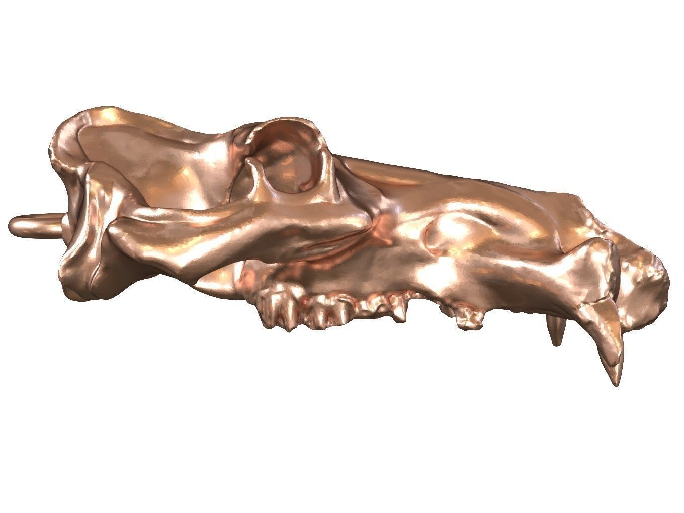 Cranium Charm Hippo Bronze 3D print model_2
