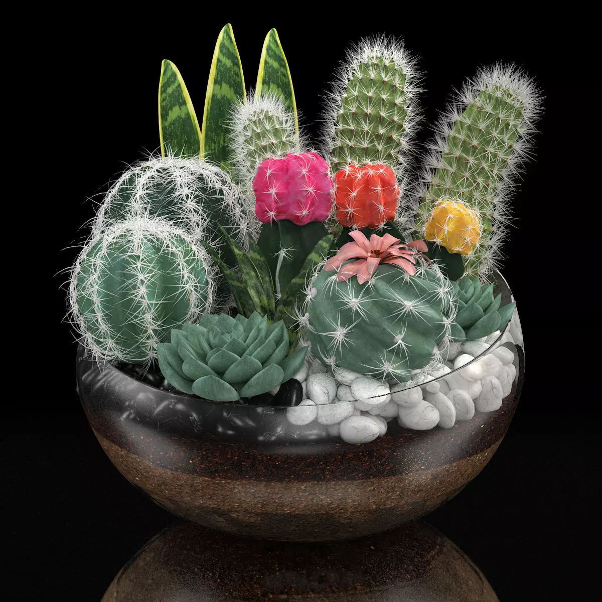 bowl of Cactus collection 3D model_0