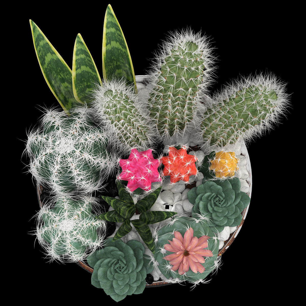 bowl of Cactus collection 3D model_1