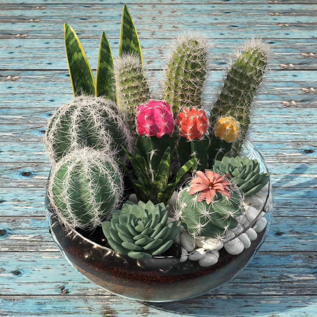bowl of Cactus collection 3D model_4