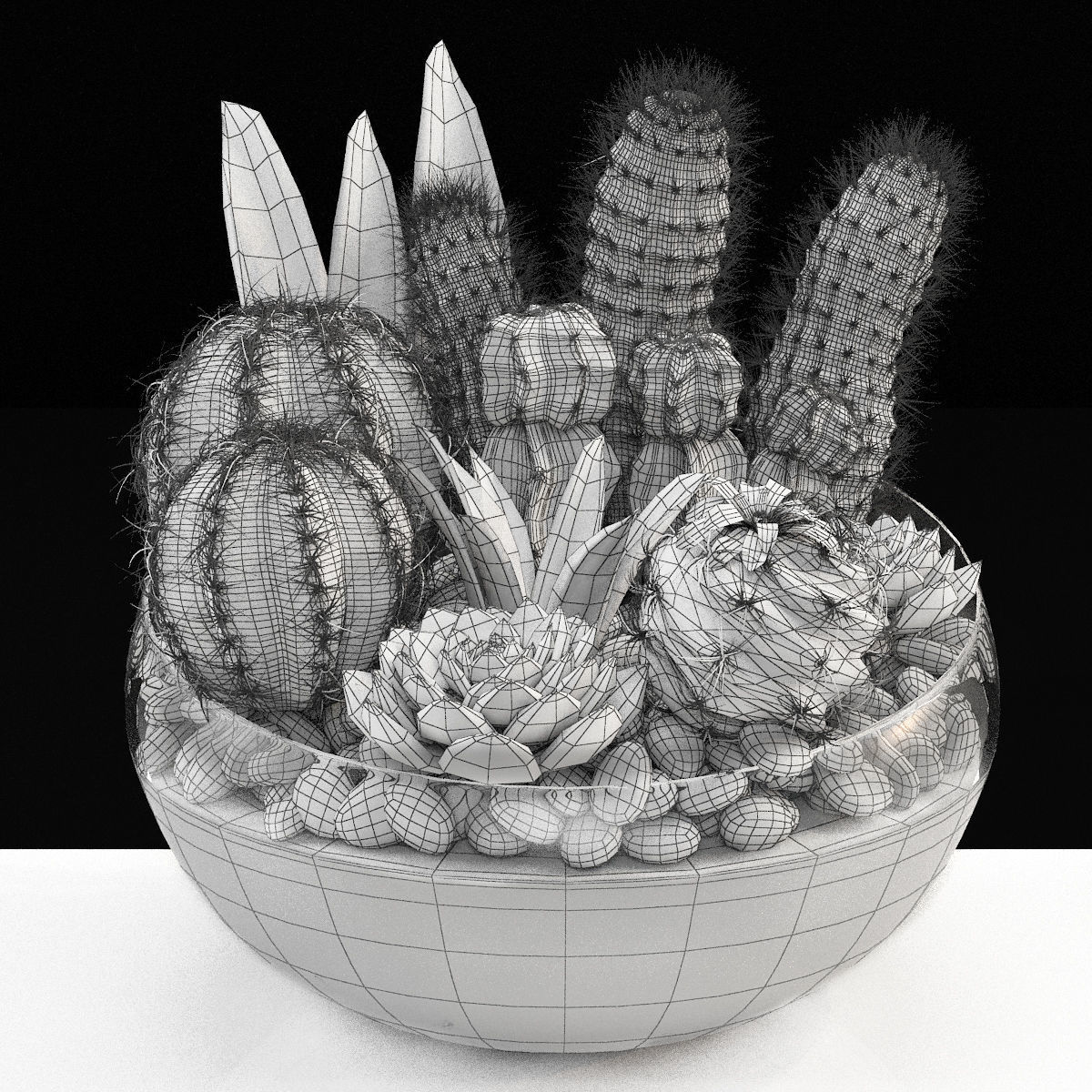 bowl of Cactus collection 3D model_3