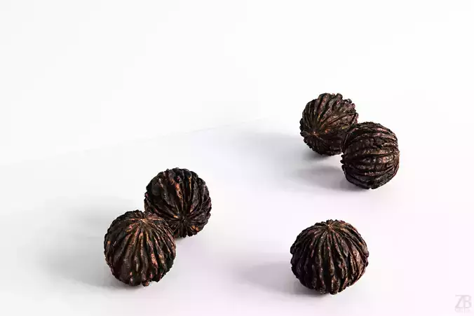 Walnut 3D model