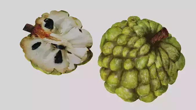 Chirimoya piece of fruit with seeds Low-poly 3D model
