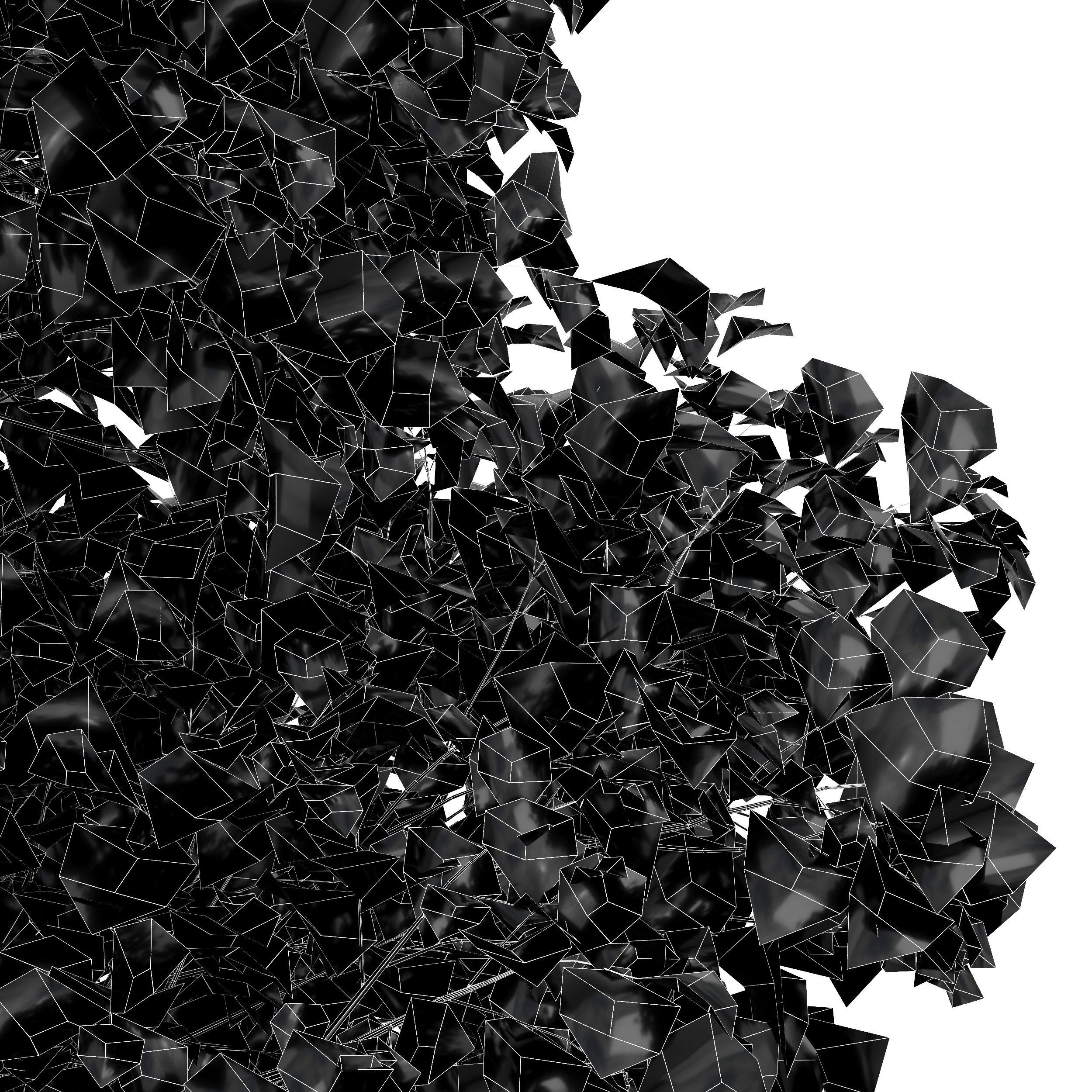 Tulip poplar 2 trees 3D model_3