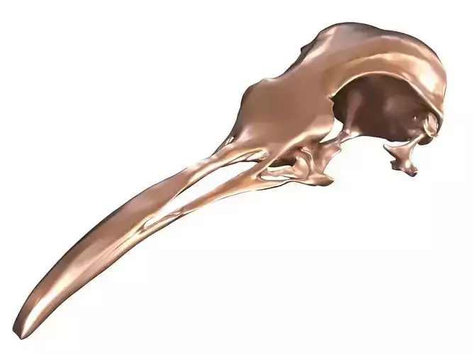 Cranium Charm Penguin Bronze