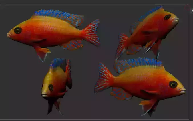 fish 3d free