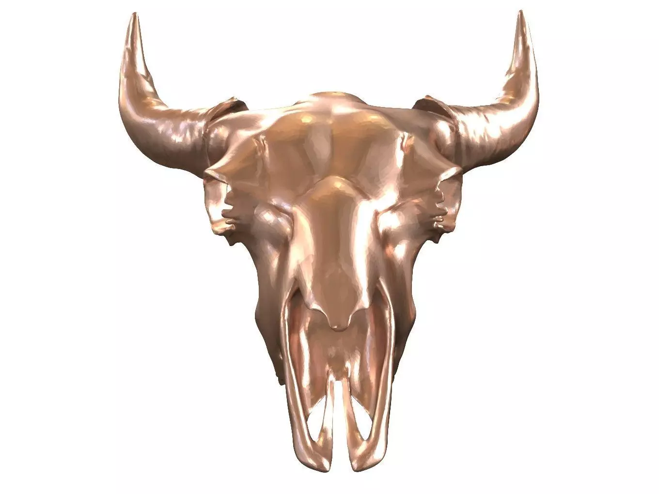 Cranium Charm Bison Bronze 3D print model_0