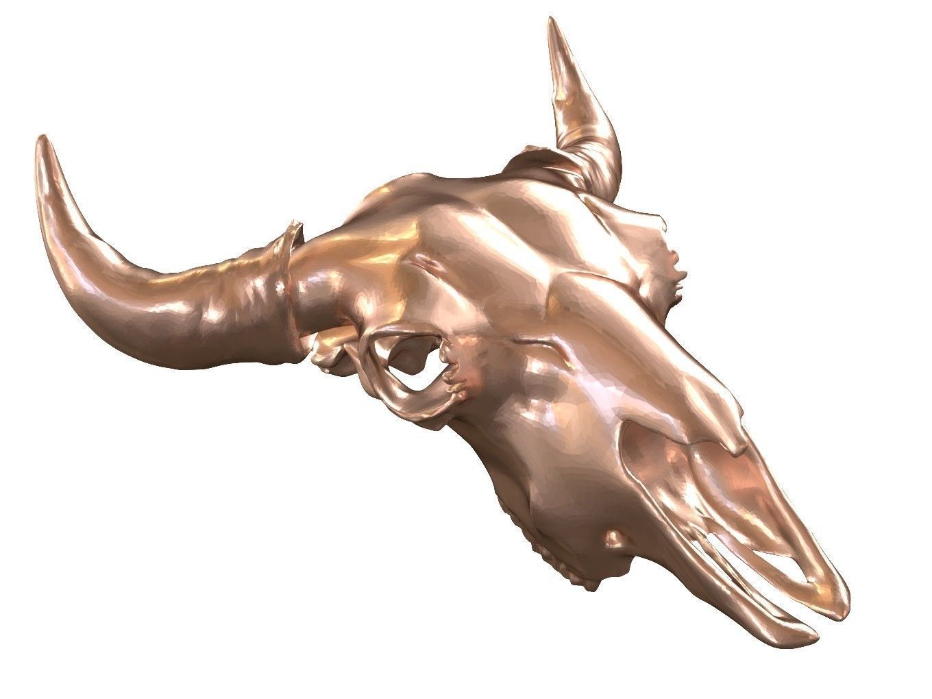 Cranium Charm Bison Bronze 3D print model_1