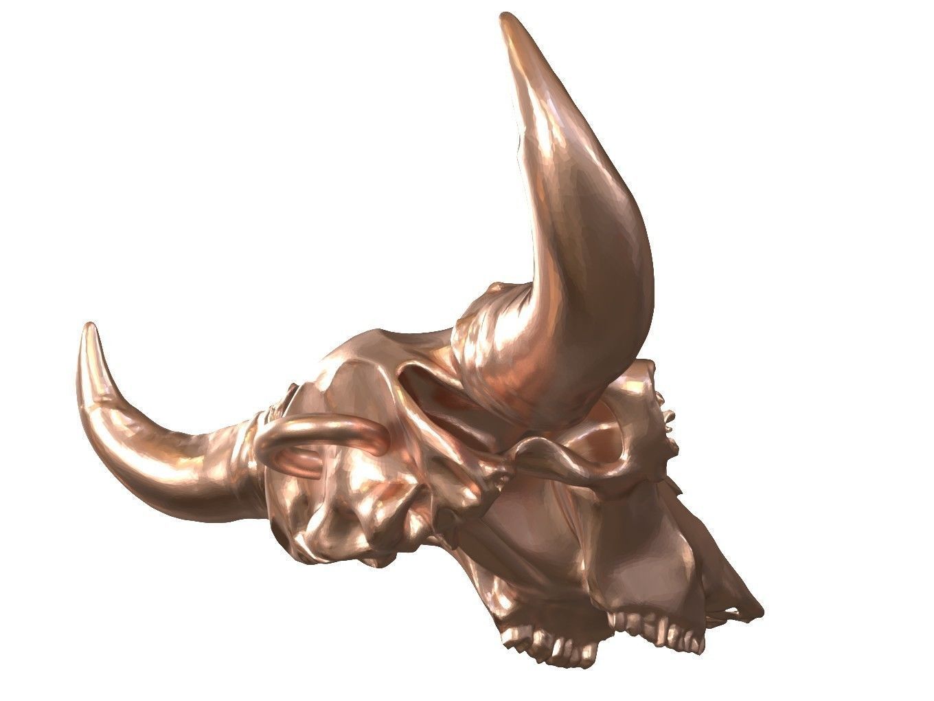 Cranium Charm Bison Bronze 3D print model_3