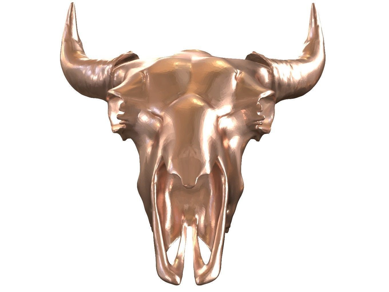 Cranium Charm Bison Bronze 3D print model_8