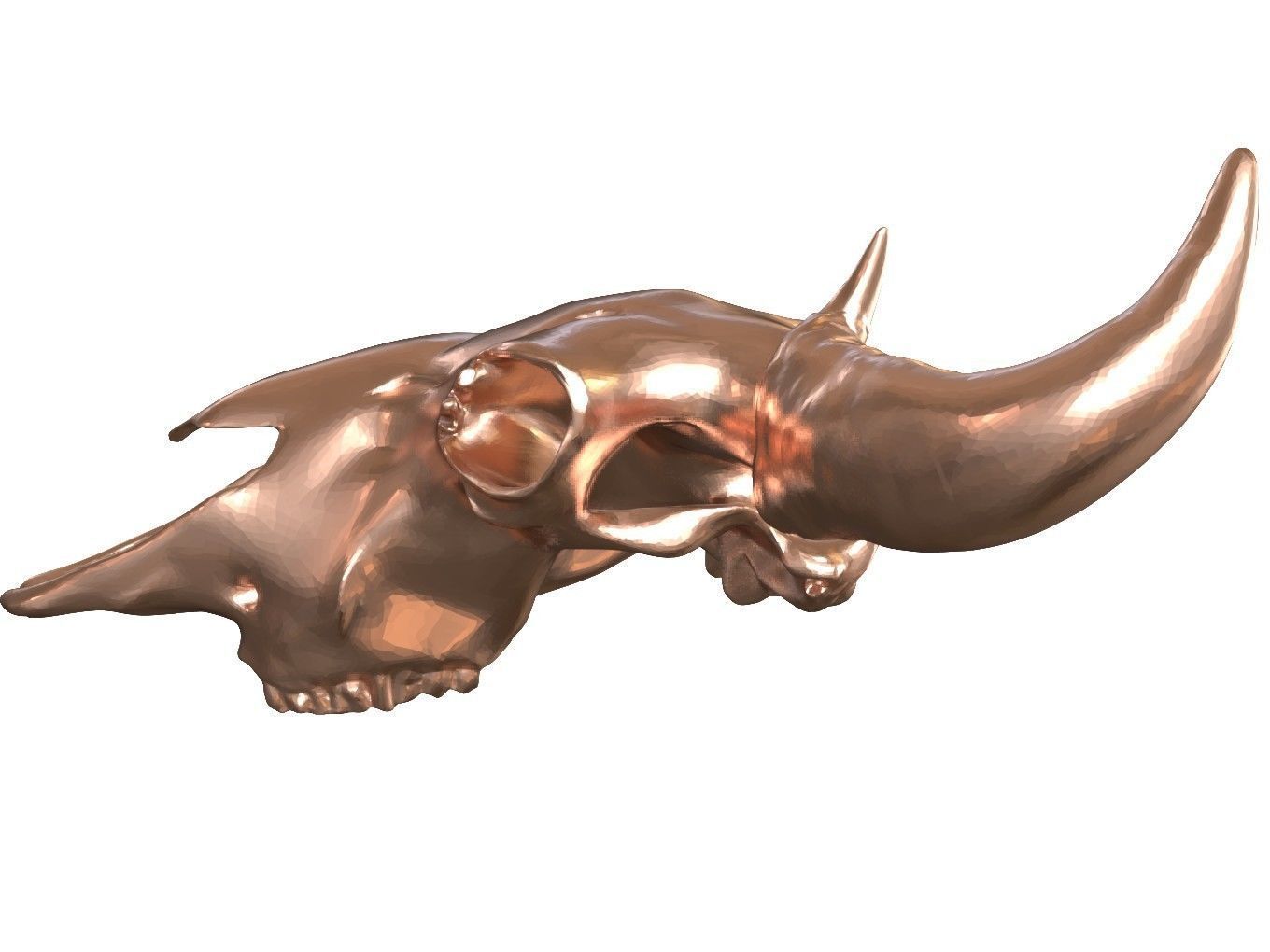 Cranium Charm Bison Bronze 3D print model_6